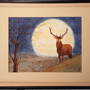 Cerf au Clair de Lune
