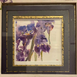 Iris