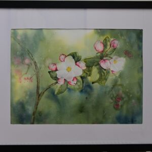 Fleurs de Pommier