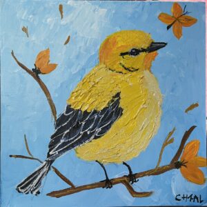 Petite Plume Jaune