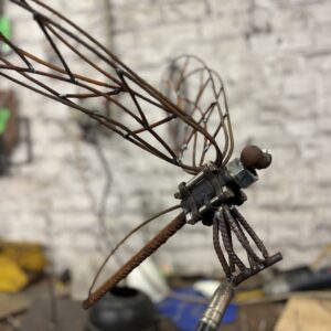 Libellule